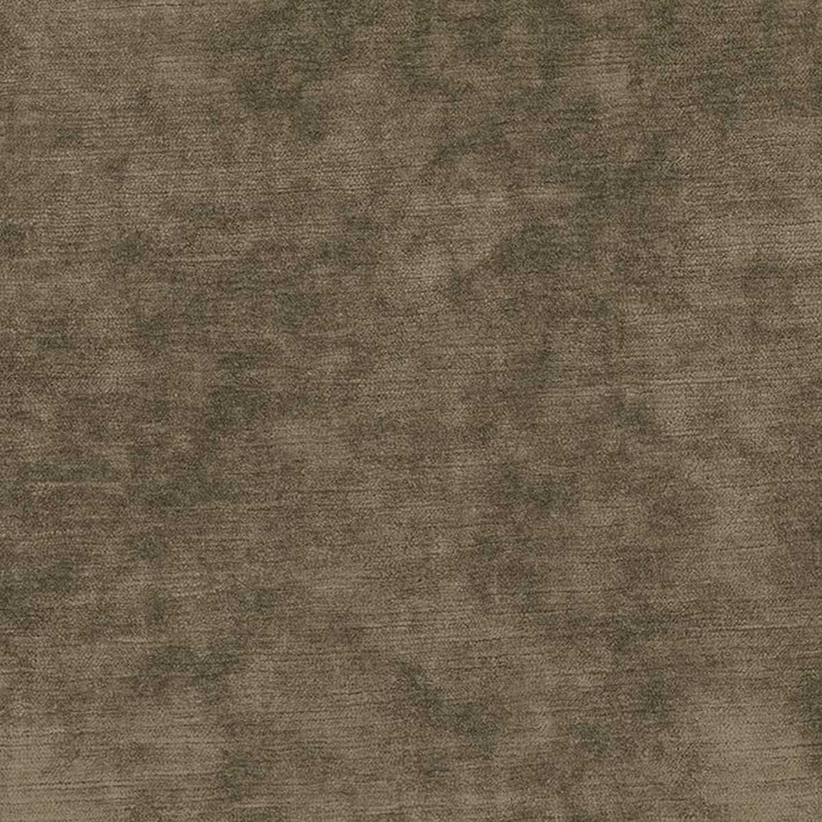Belvedere Velvet F8130-19
