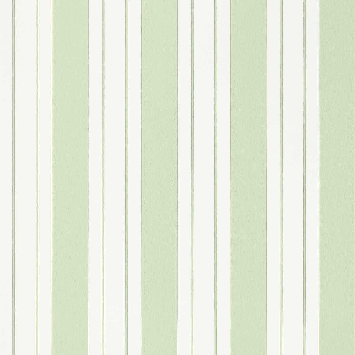 Ligorio Stripe W7981-01
