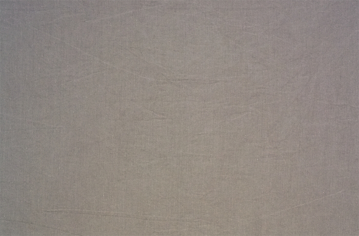 Oseille Sauvage 17075-001