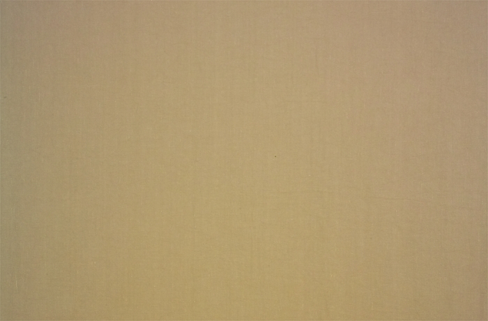 Oseille Sauvage 17075-009