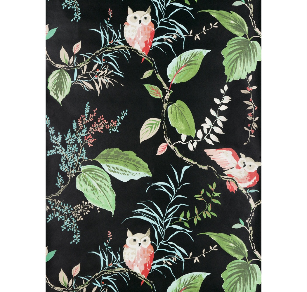 Owlish Black W3331-819