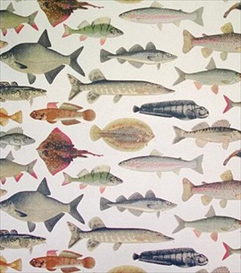 Wilhelm handprinted 198-00