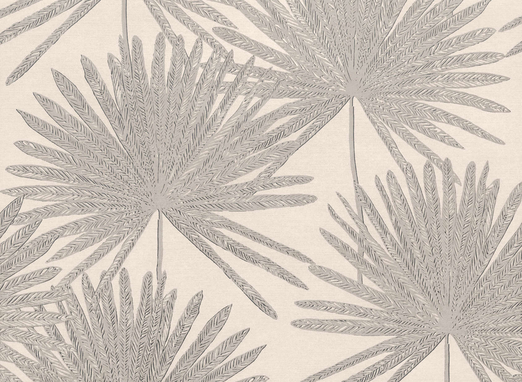 Pacaya Silver Birch W416-02