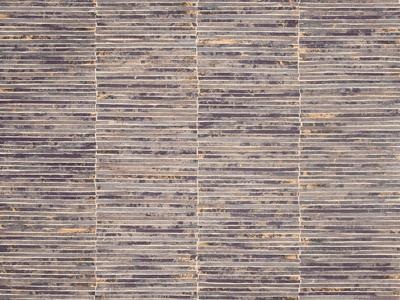 Palisade 2750022448