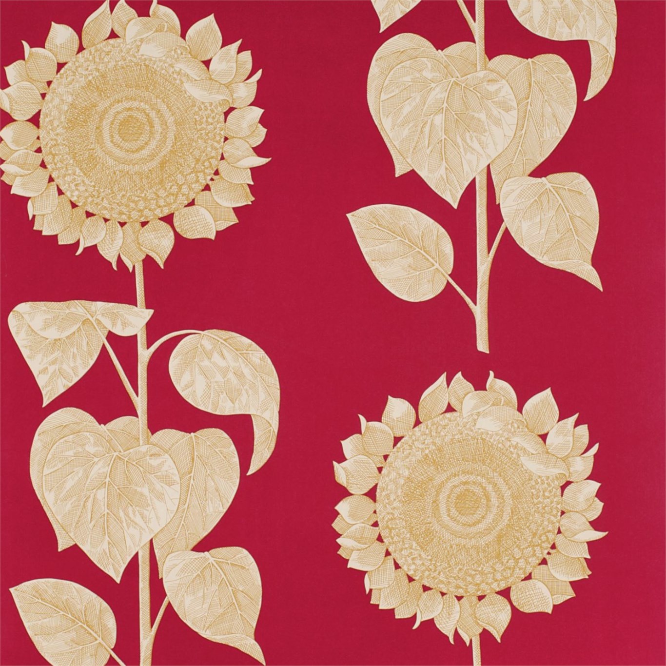 Palladio Sunflower DVIWPA102