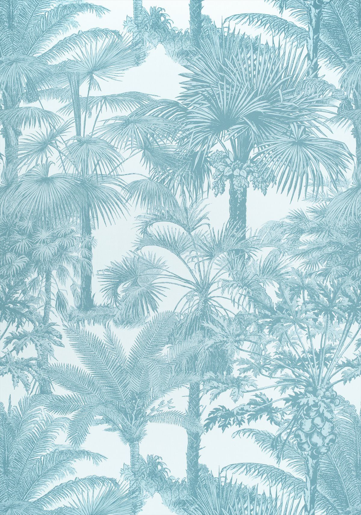 Palm Botanical F910104