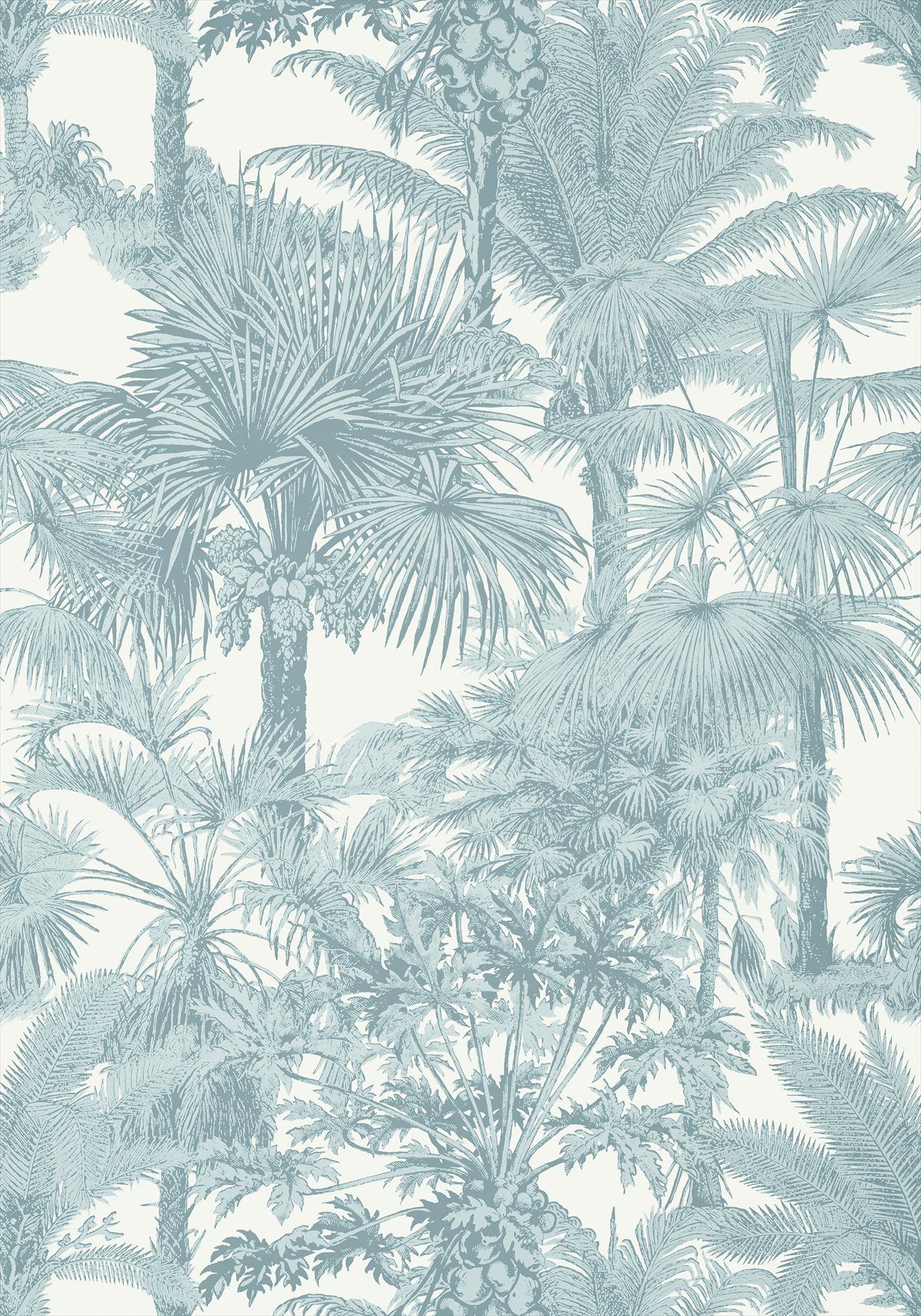 Palm Botanical T10104