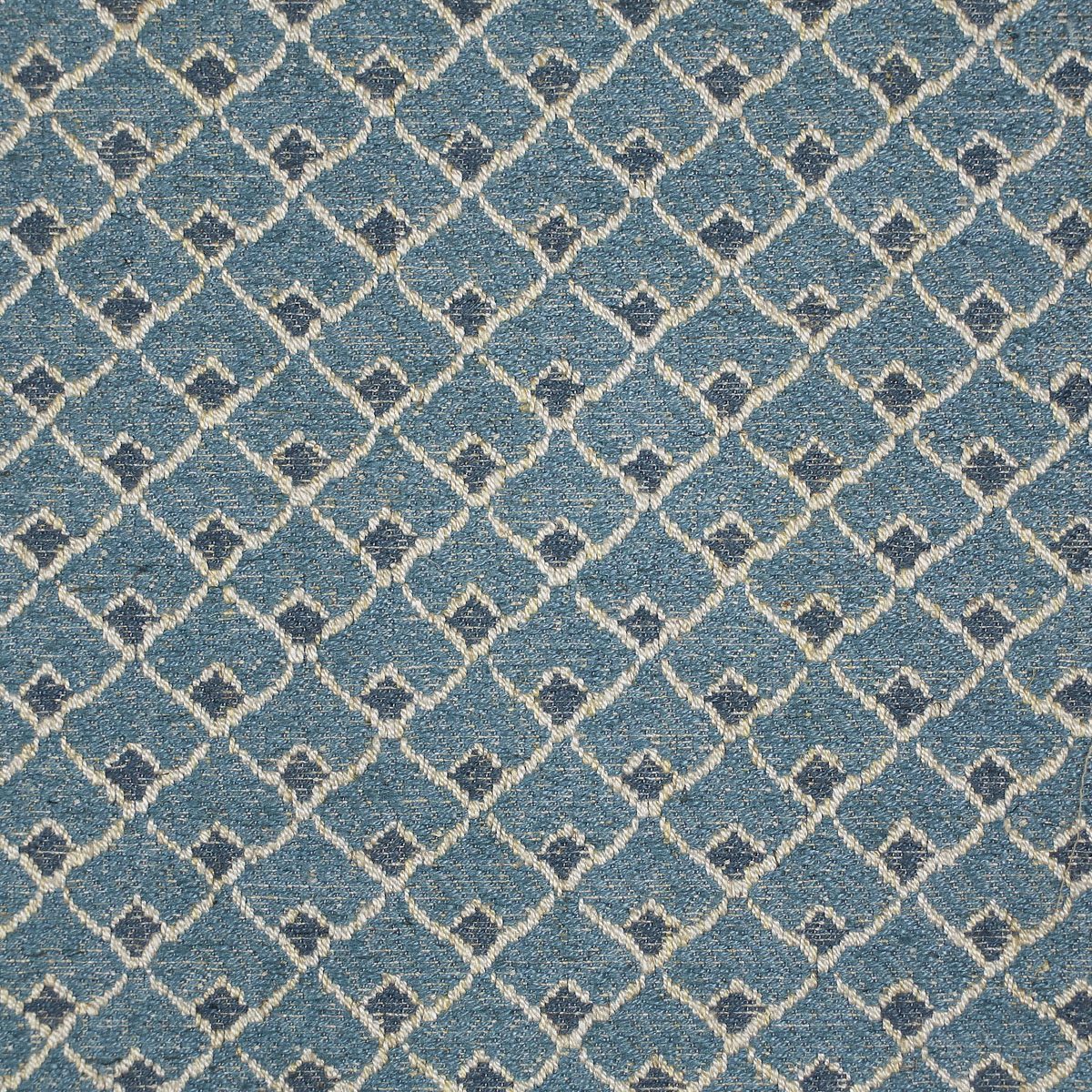 Paloma 04