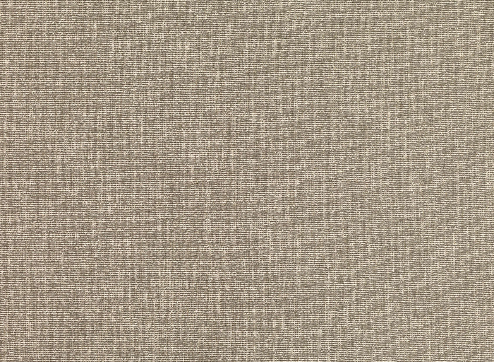 Pamir Driftwood Z577-03
