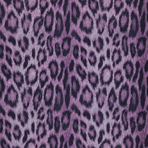Panthera 39 Passion