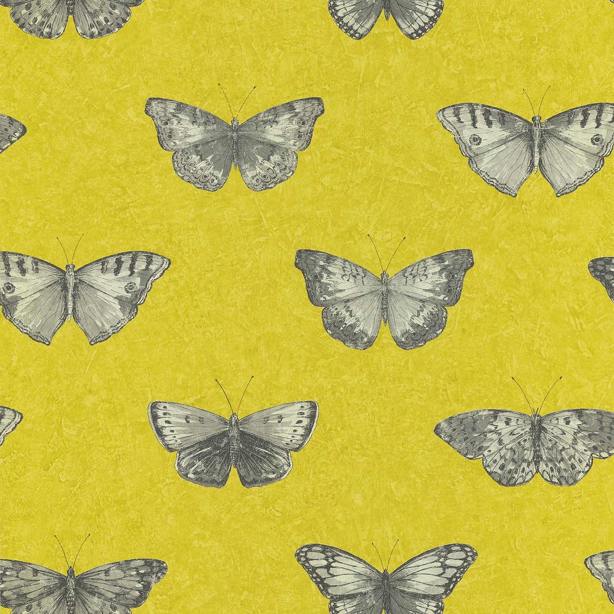 Papillons SRE 6821 20 90