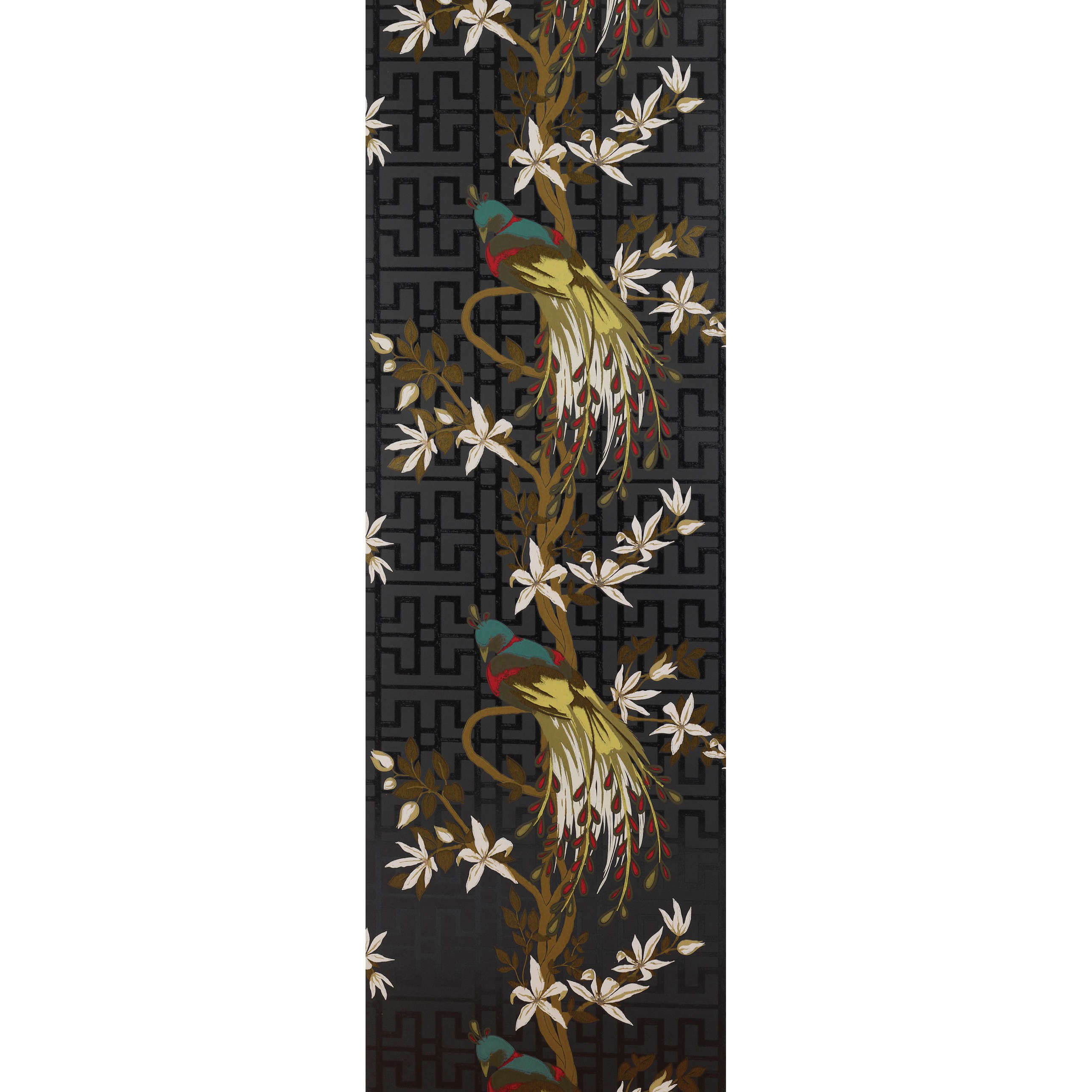 Paradiso NCW4030-05