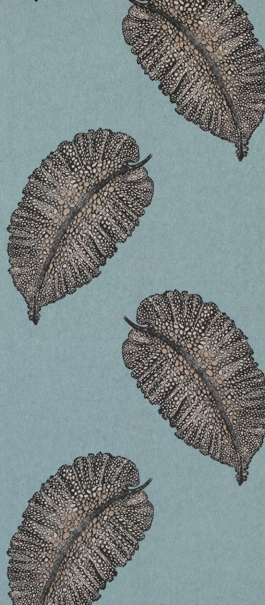 Paraggi W7218-01