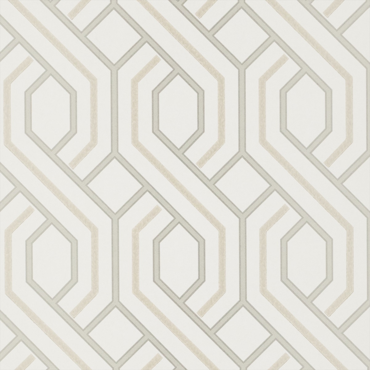 Parterre BW45081-1