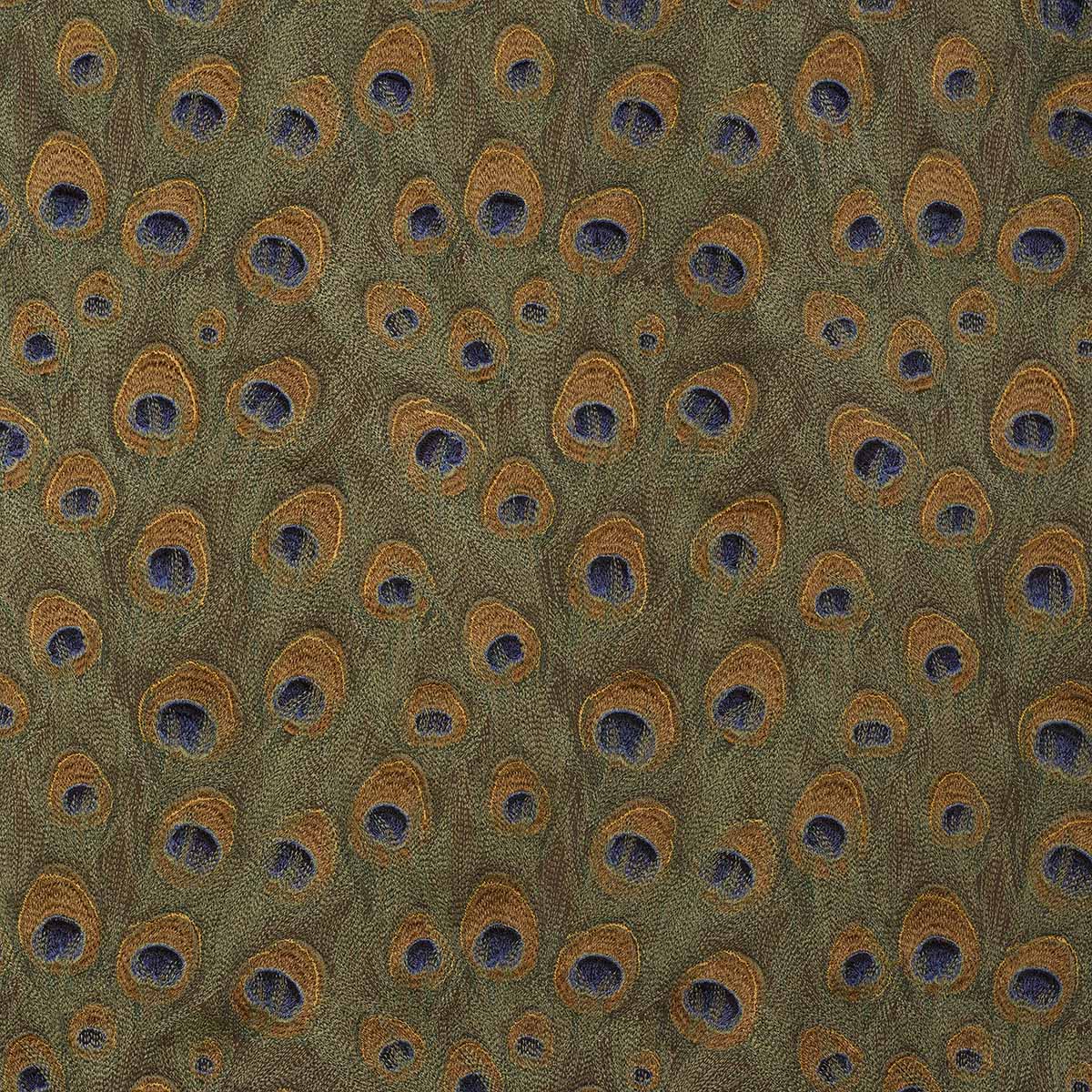Peacock 03