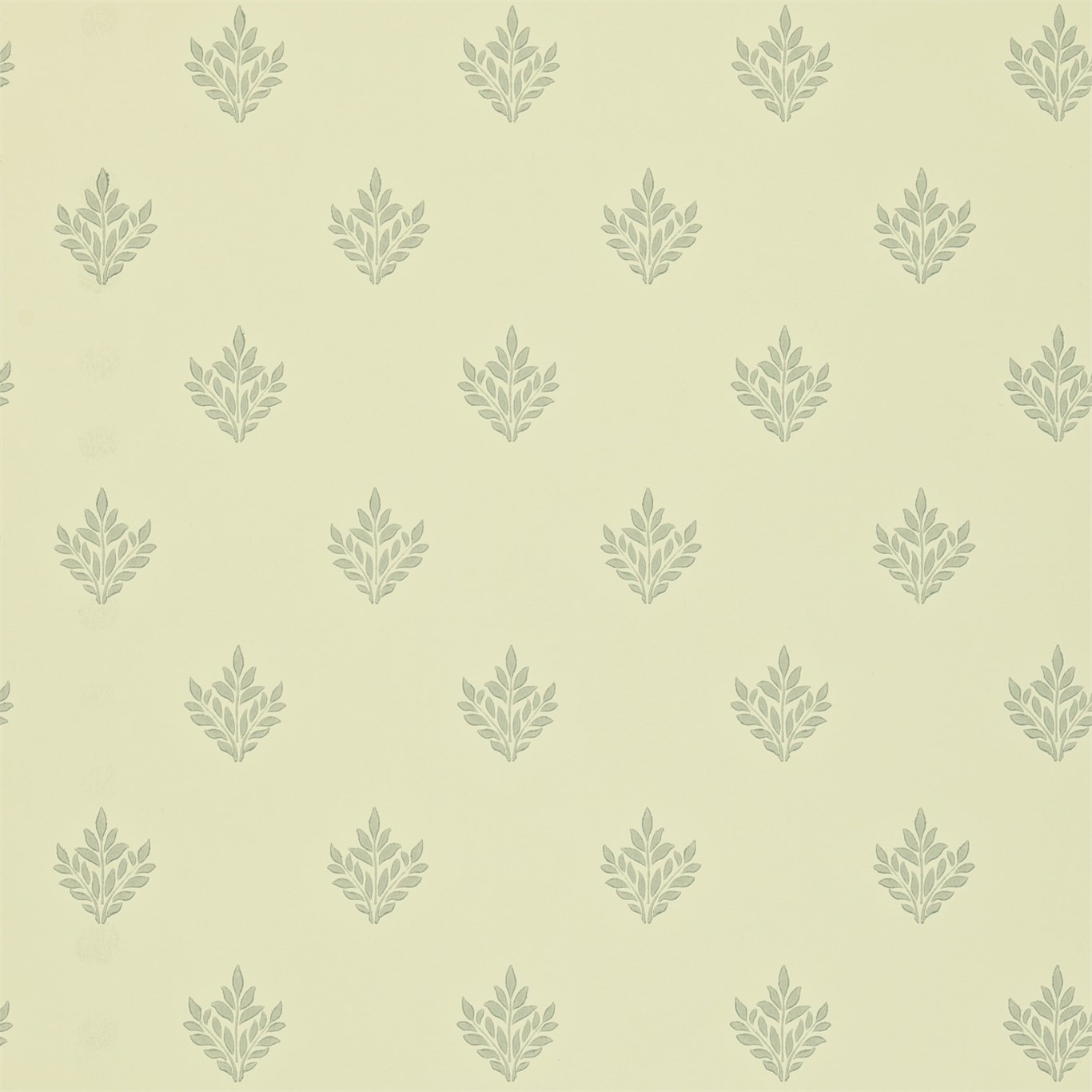 Pearwood DMORPE109