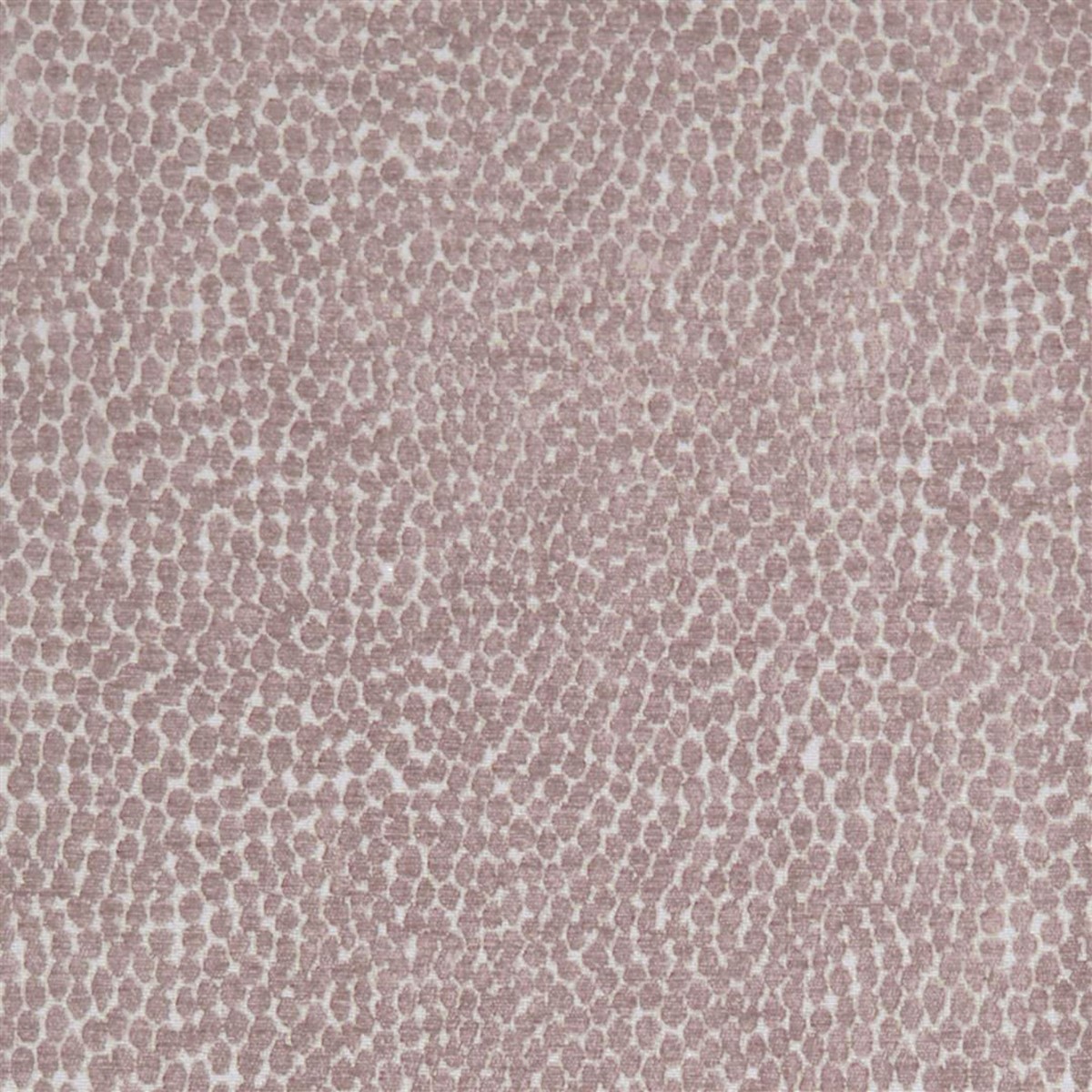 Pebble Blush