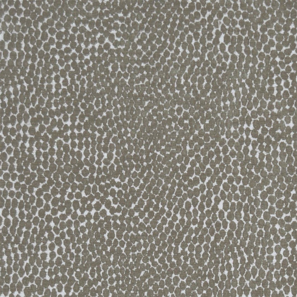 Pebble Mink