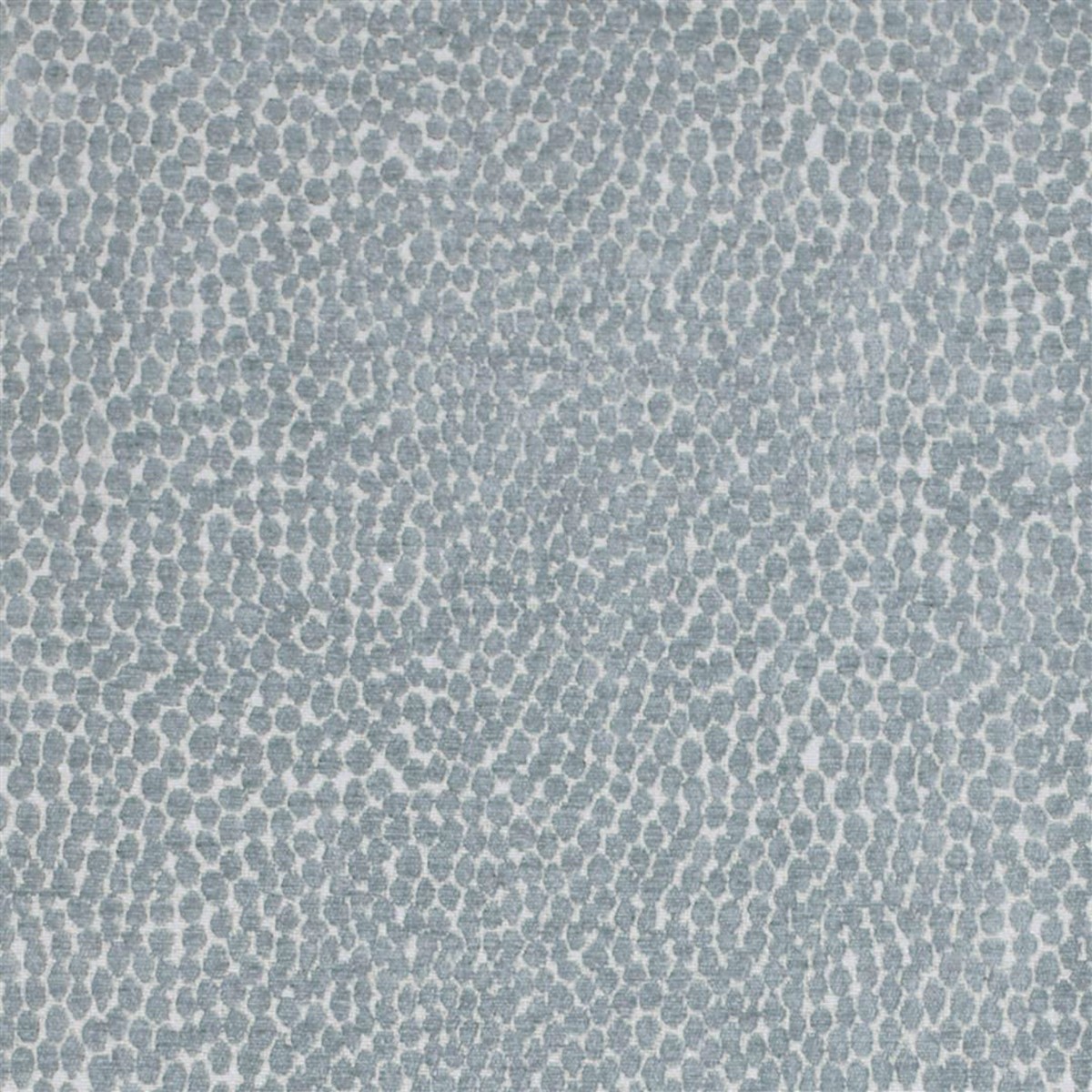 Pebble Shark