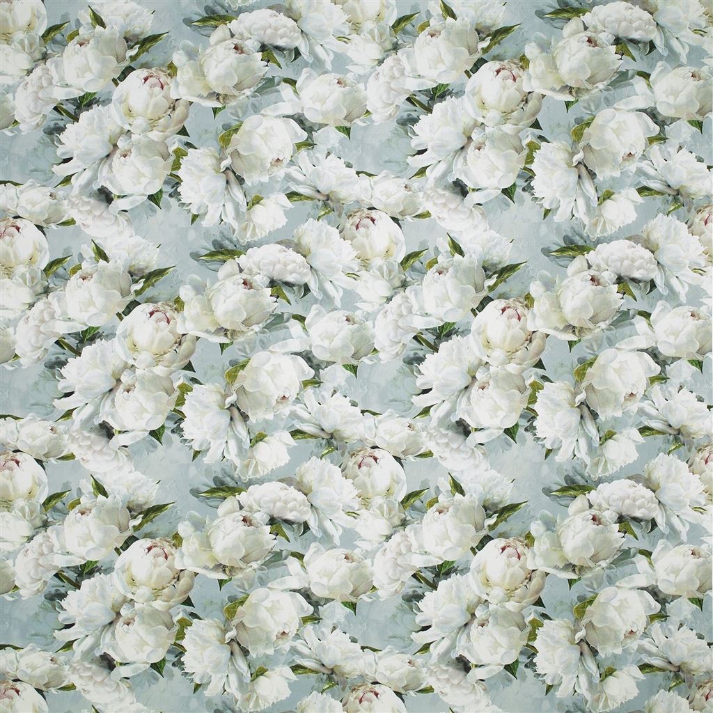 Peonia Lino FDG2912-01