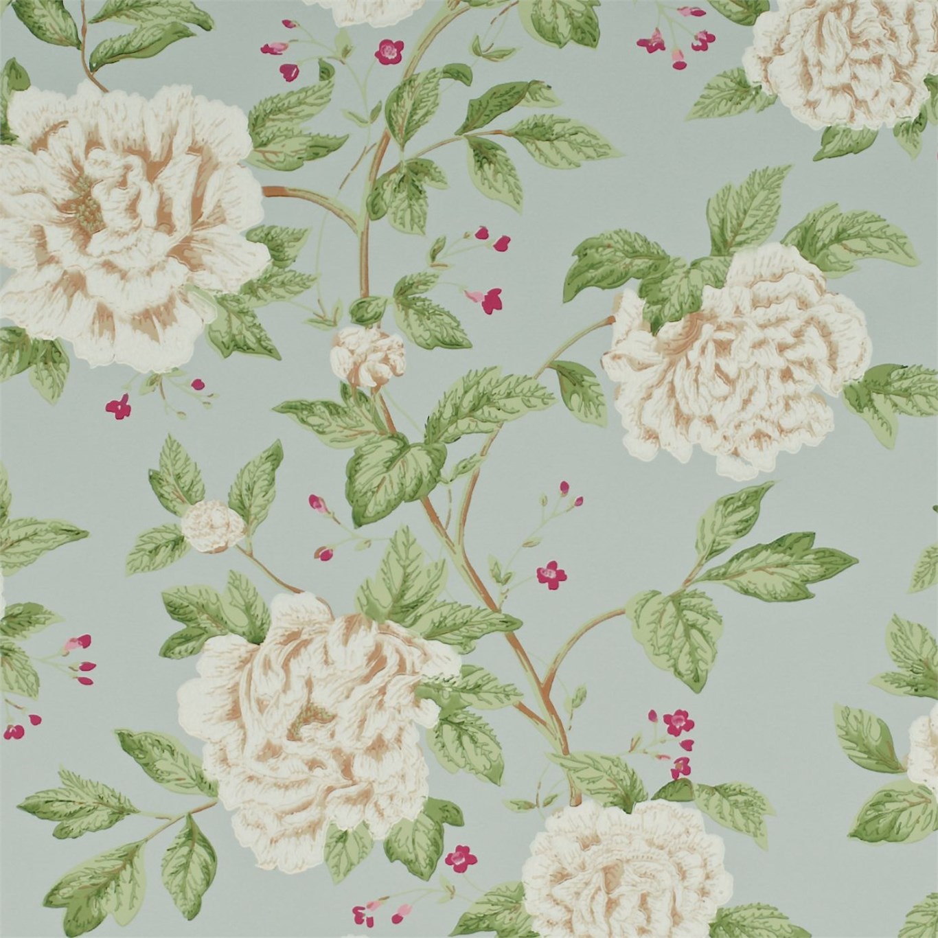 Peony Tree DPEMPT102