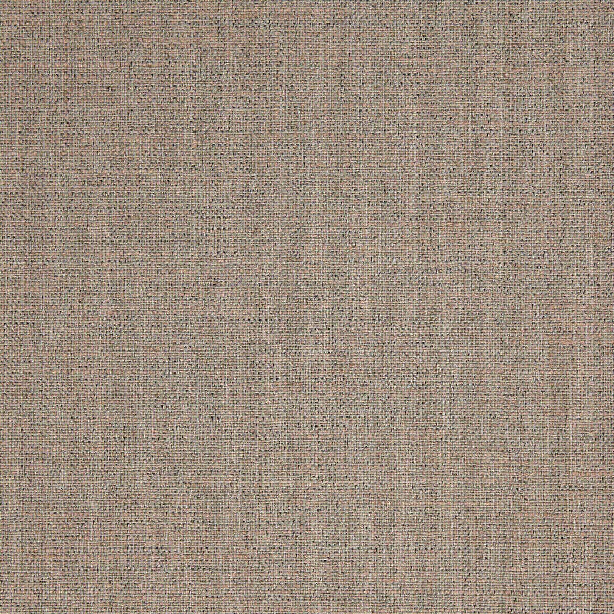 Abaca 02