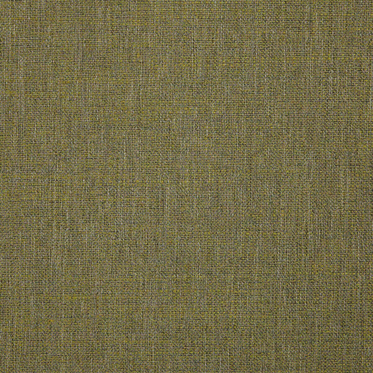 Abaca 03