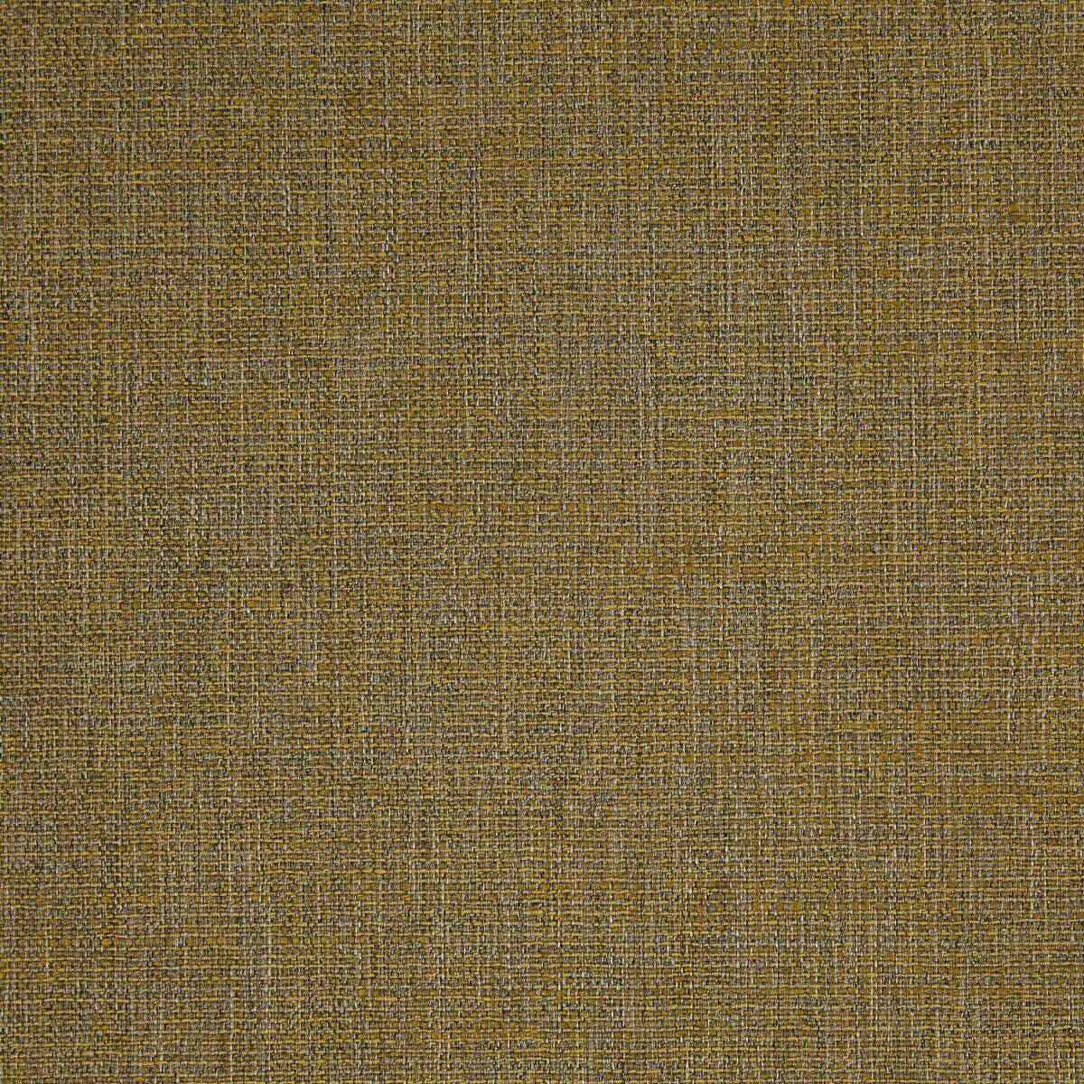 Abaca 05