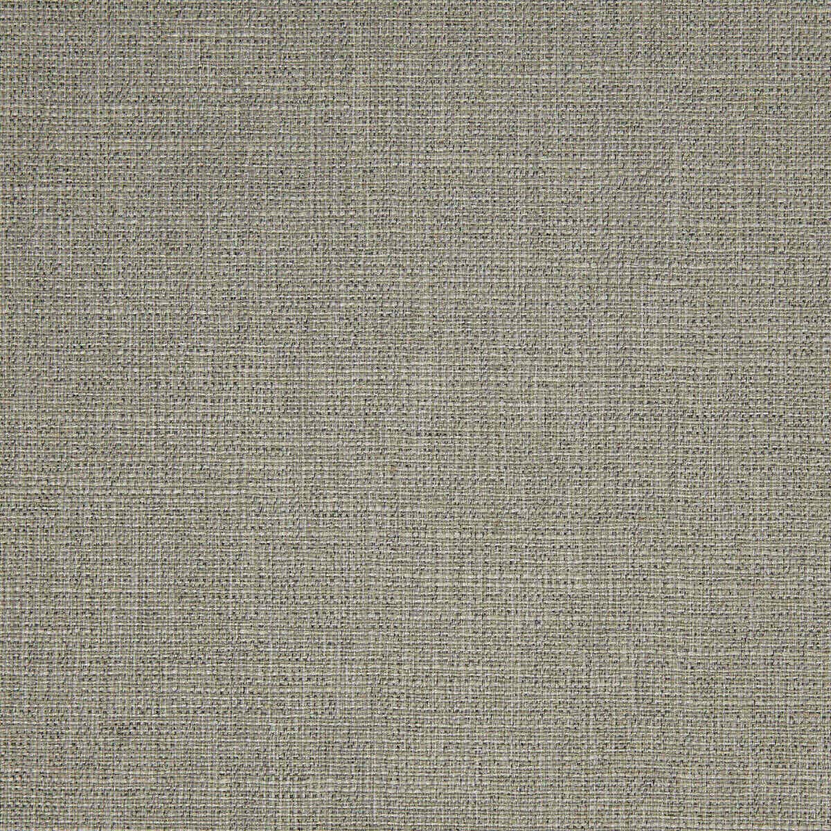 Abaca 06