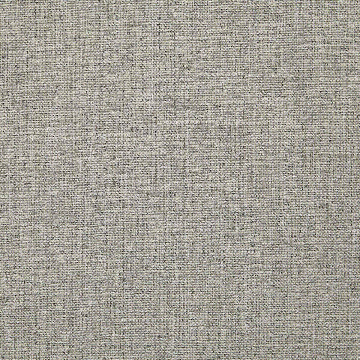 Abaca 07