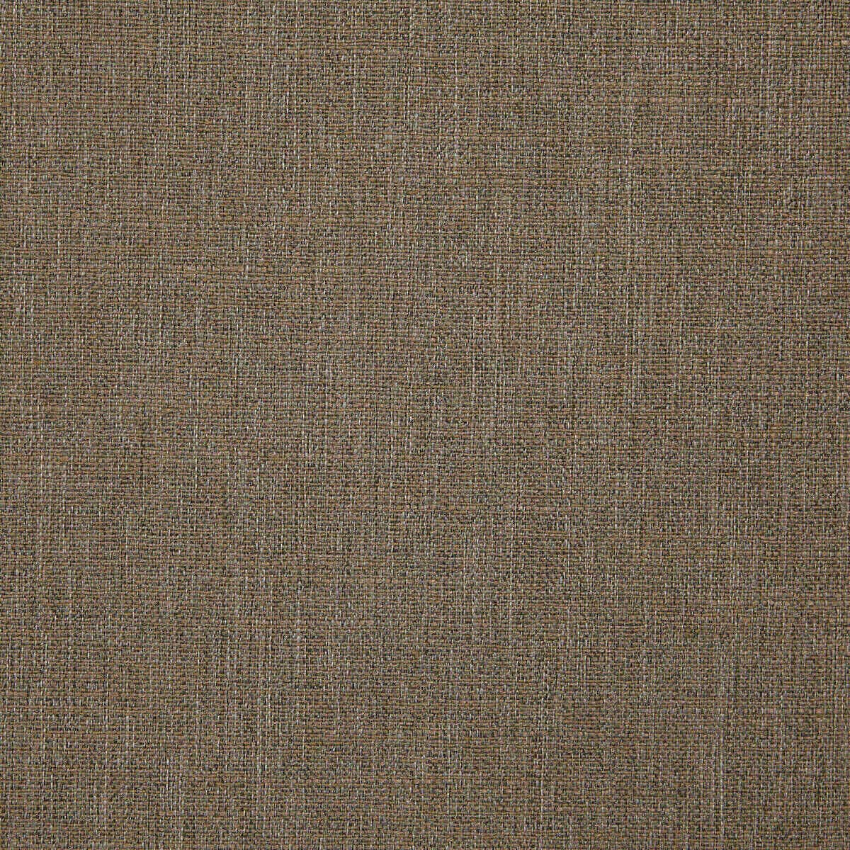 Abaca 08
