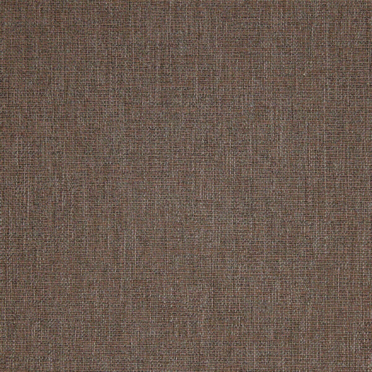 Abaca 12