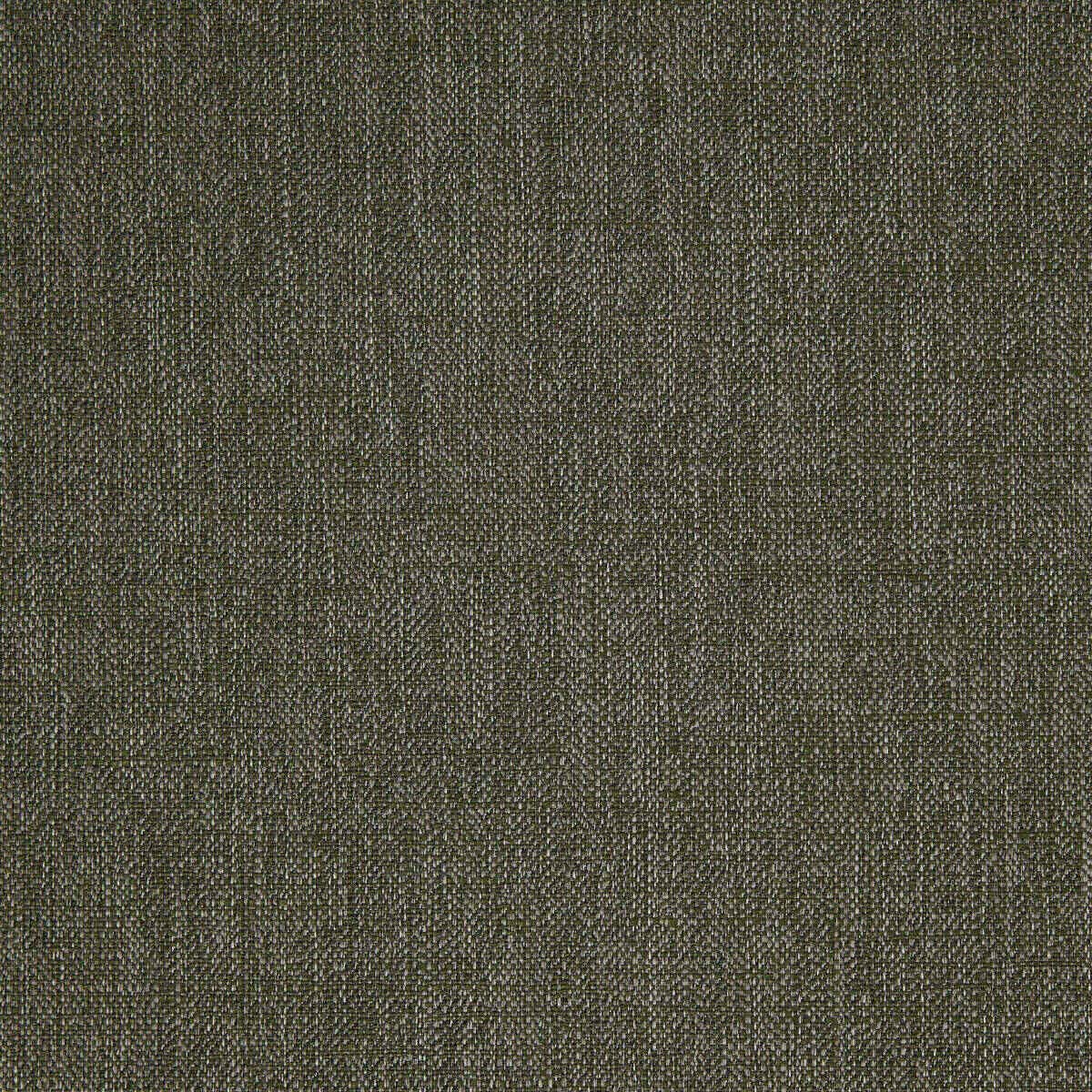 Abaca 13