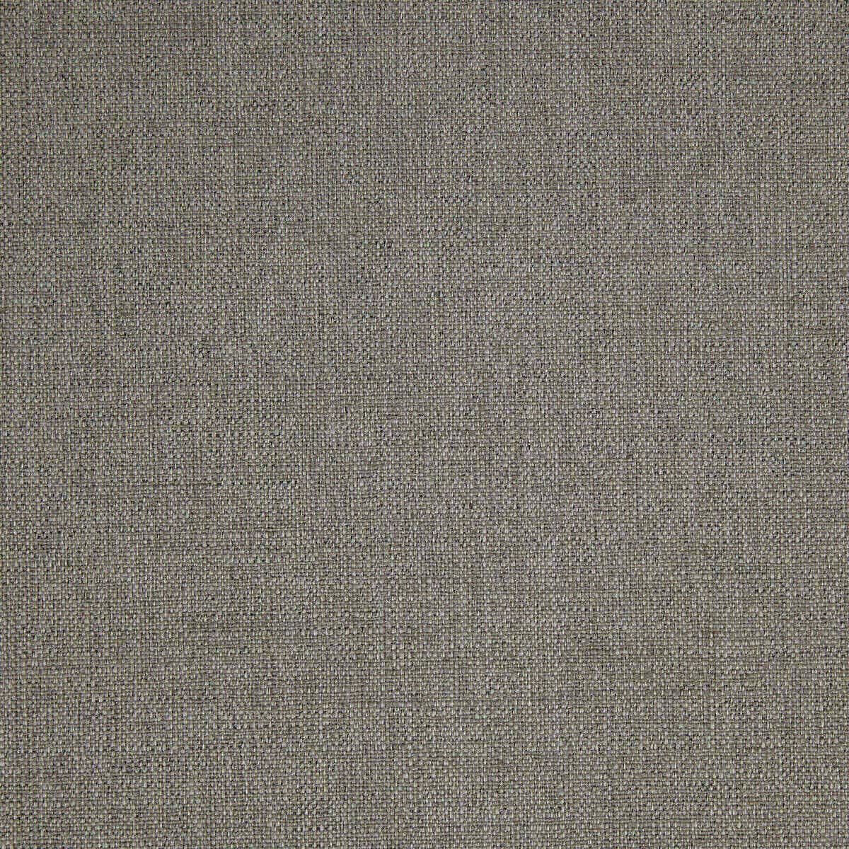 Abaca 16