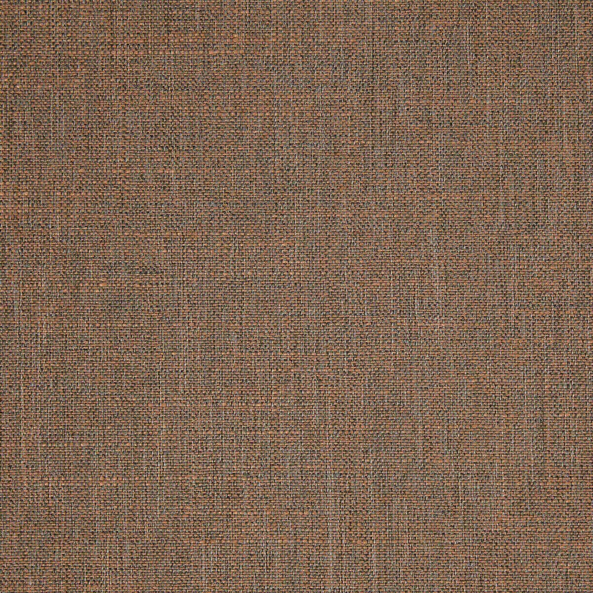 Abaca 18