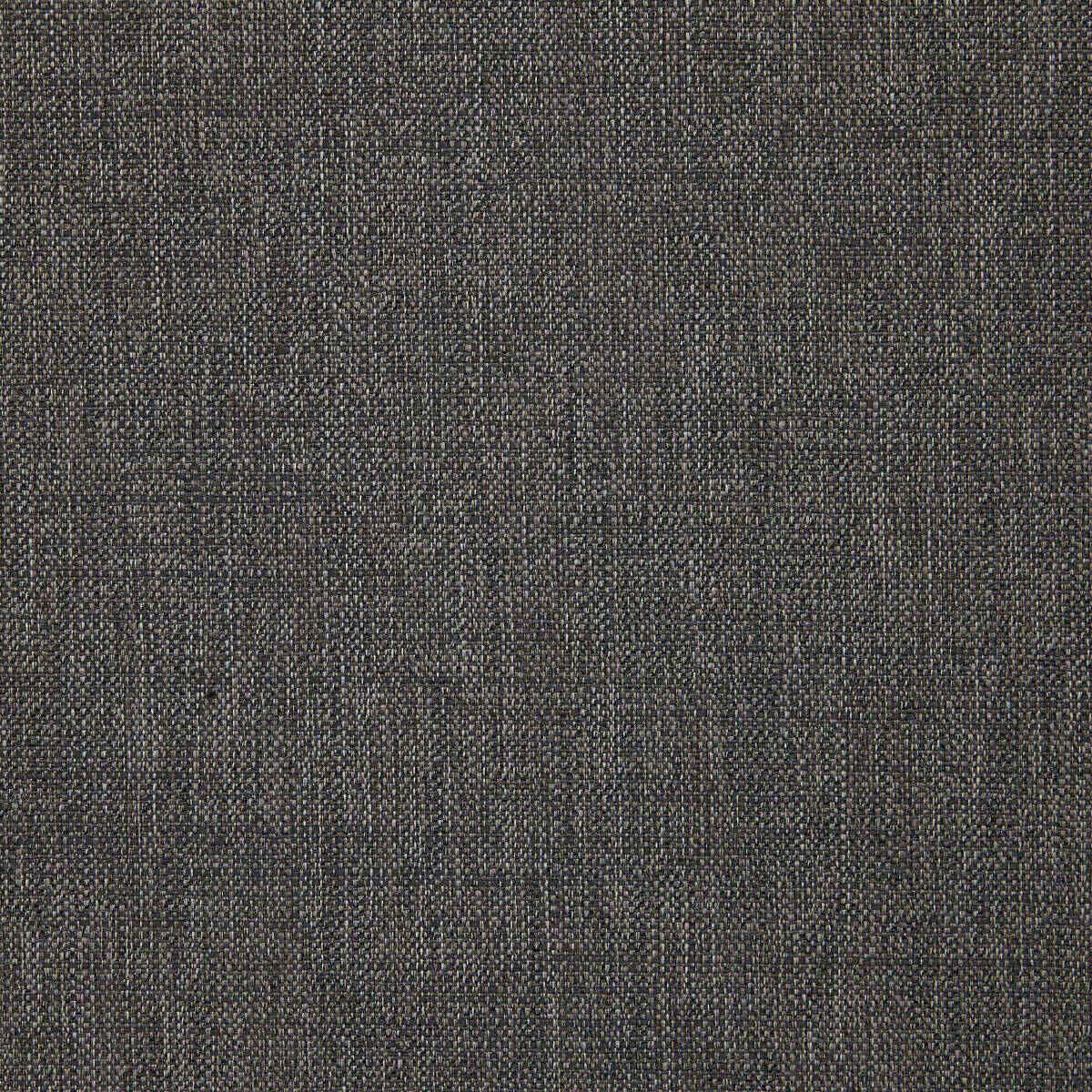Abaca 19