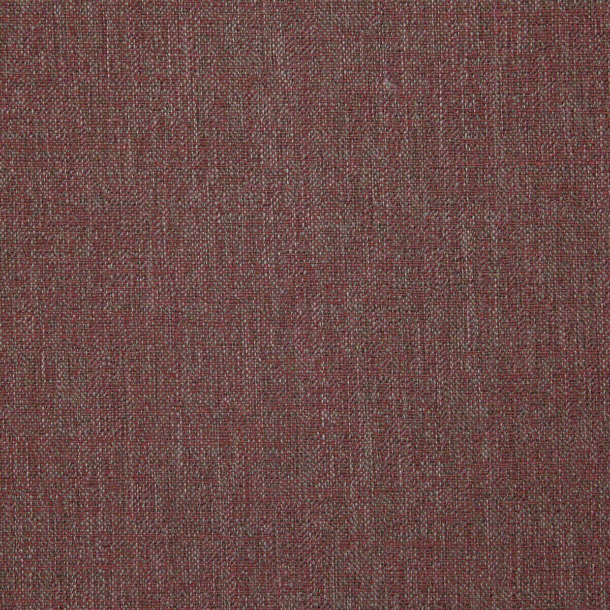 Abaca 22