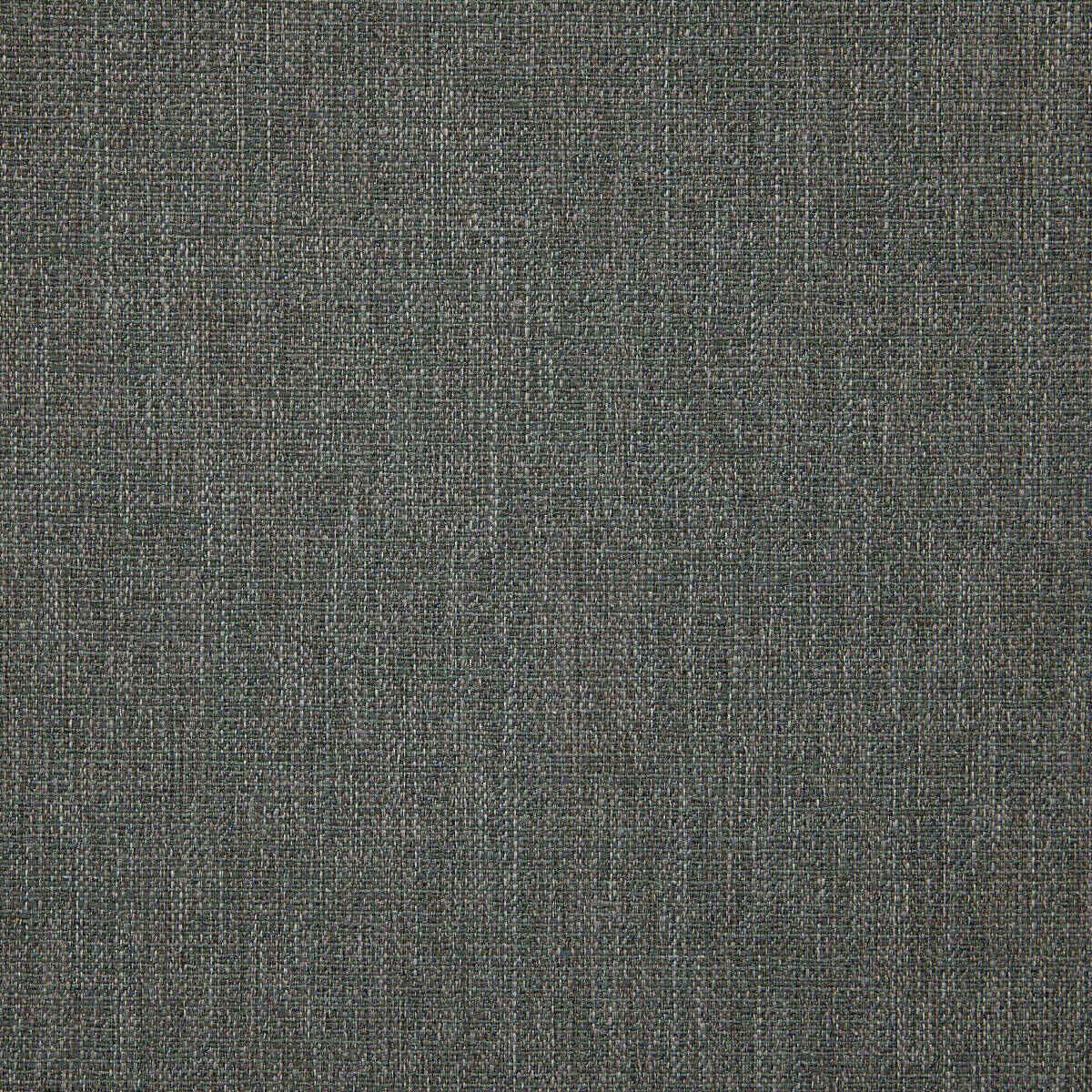 Abaca 23