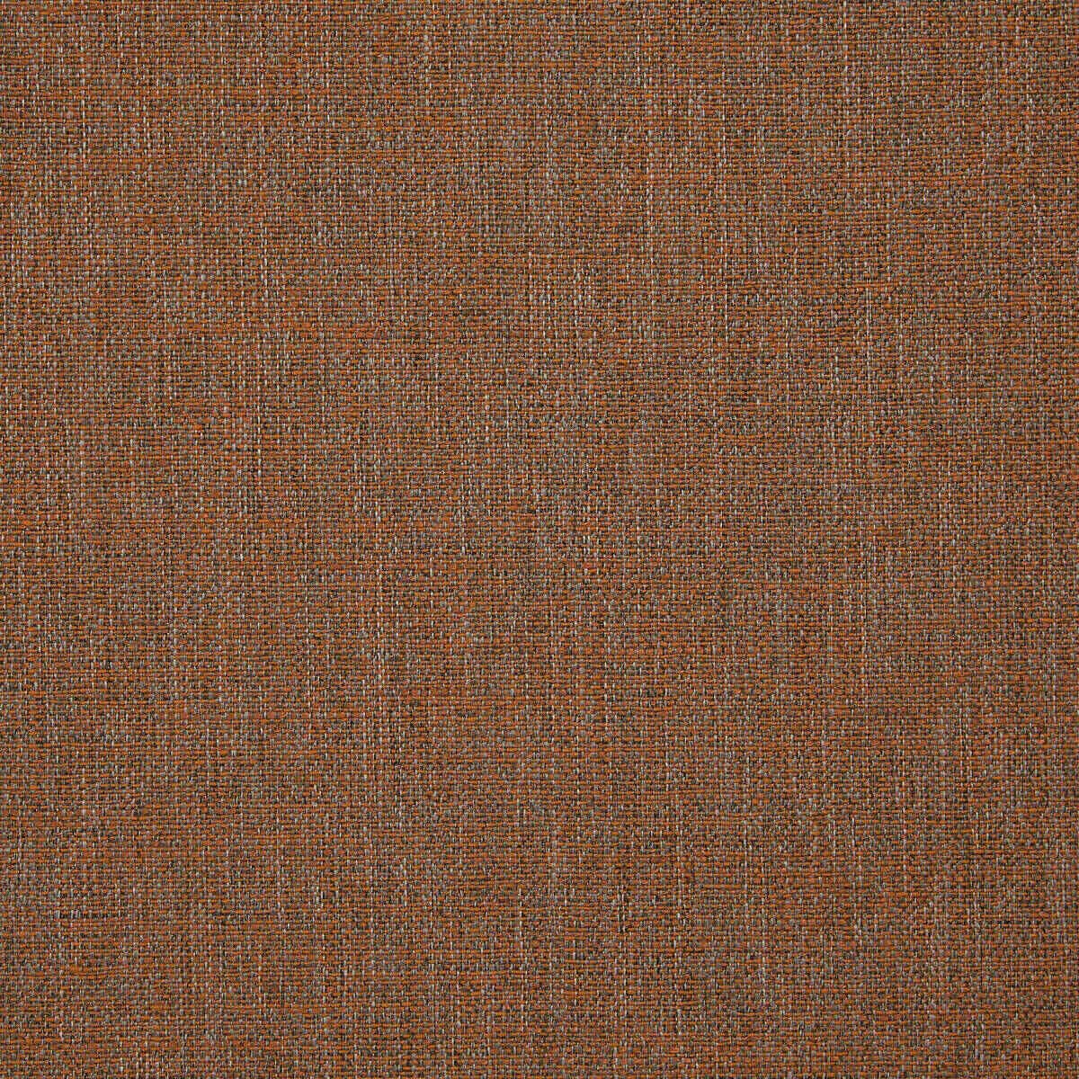 Abaca 28