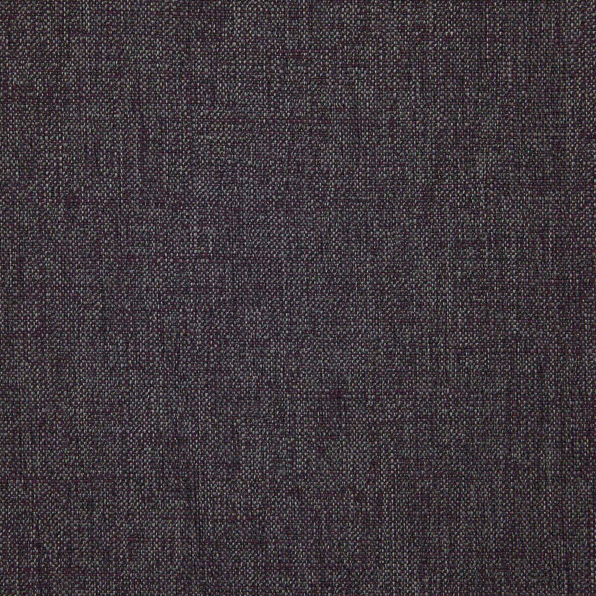 Abaca 29