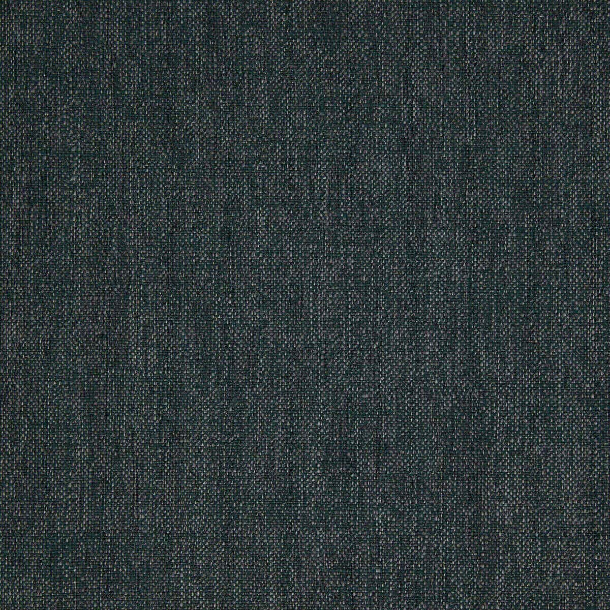 Abaca 33