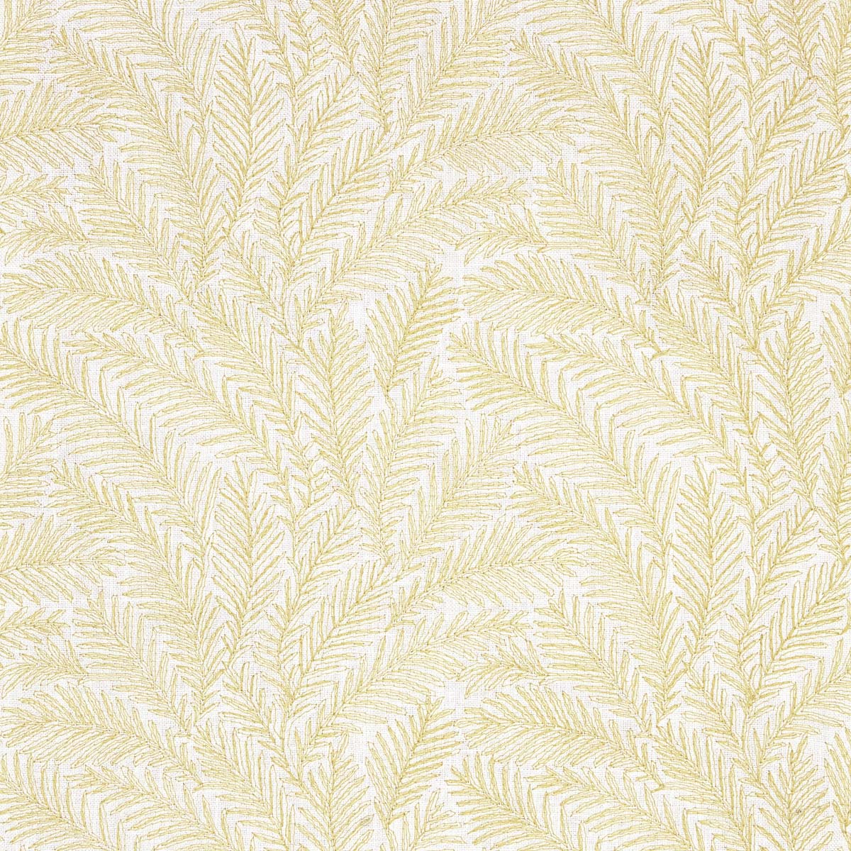 Herbes 05