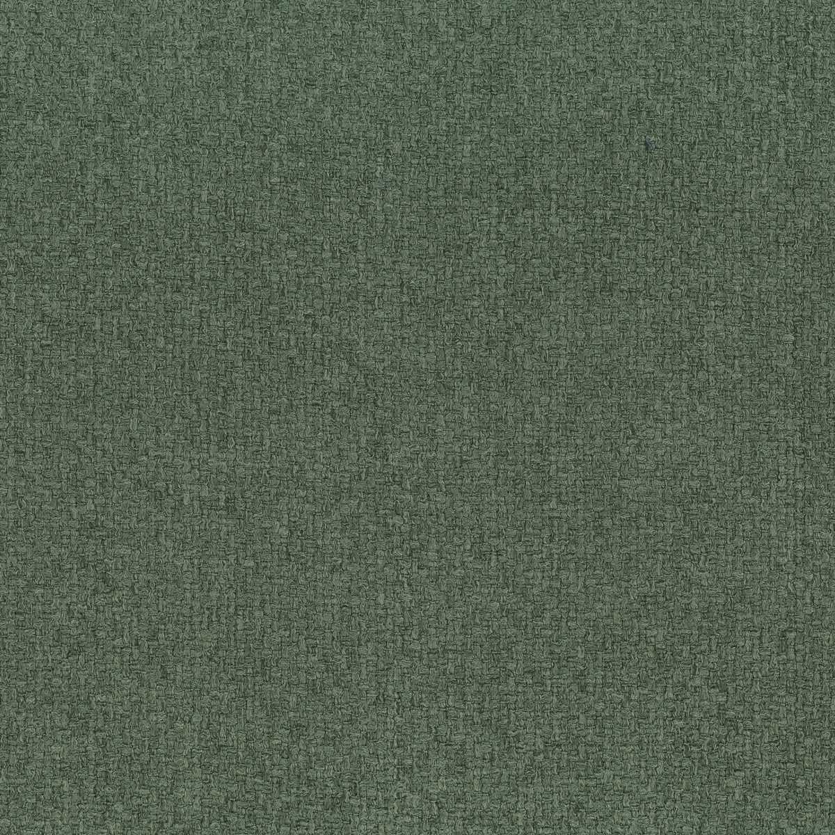 Nikko 13