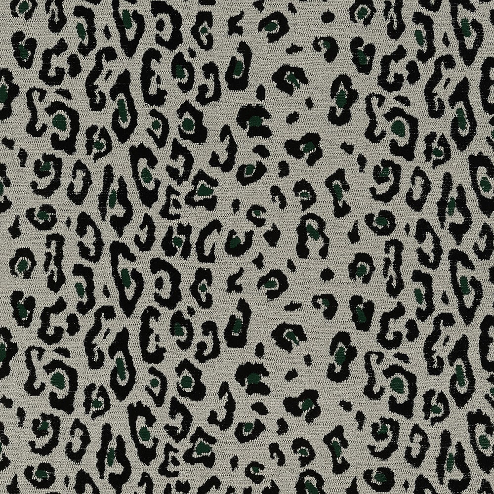 Kitty, Kitty 986-353