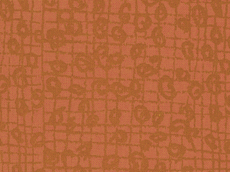Pipipi Shells 160-196