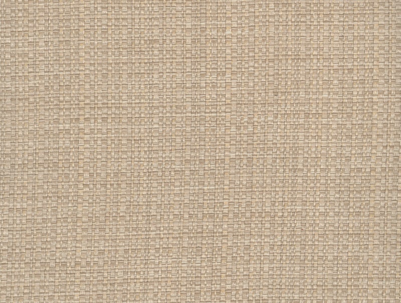 Raffia 210-170