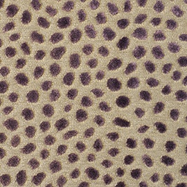 Cosma Aubergine PF50064-590