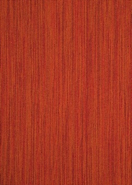 Mayfield Tangerine BF10478-345