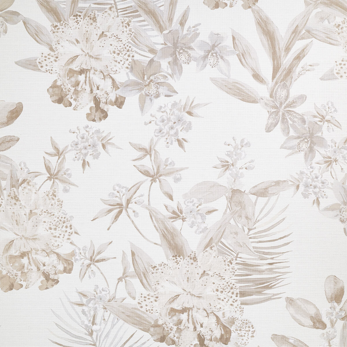 Aloha Orchids 10554