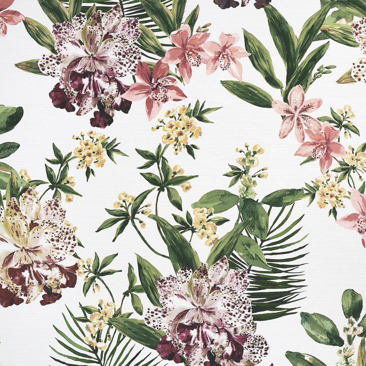 Aloha Orchids 10556